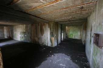 Enlarge photo 77