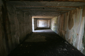 Enlarge photo 81