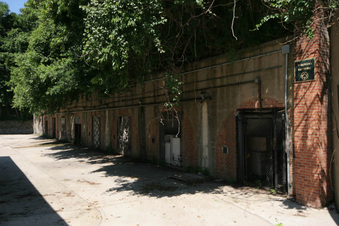 Enlarge photo 86