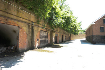 Enlarge photo 95