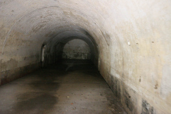 Enlarge photo 96