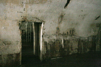 Enlarge photo 102
