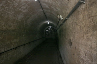 Enlarge photo 105