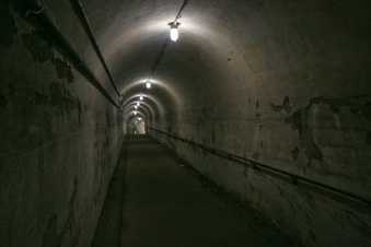 Enlarge photo 107
