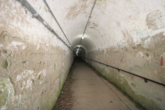 Enlarge photo 109