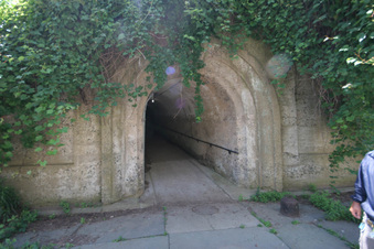 Enlarge photo 110