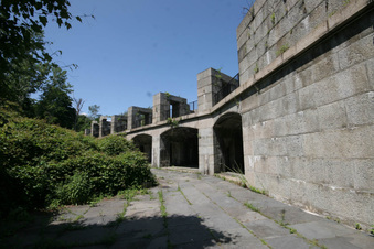 Enlarge photo 113