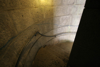 Enlarge photo 135