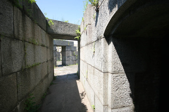 Enlarge photo 137