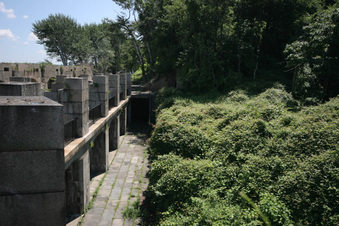 Enlarge photo 159