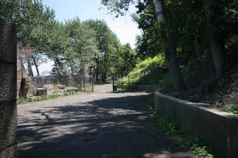 Enlarge photo 173