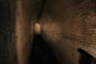 Enlarge photo 181