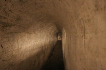 Enlarge photo 185