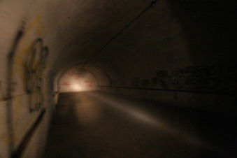Enlarge photo 188