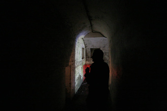 Enlarge photo 193