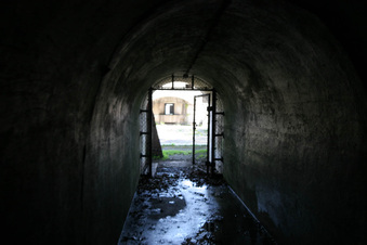 Enlarge photo 194