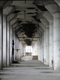 Enlarge photo 66