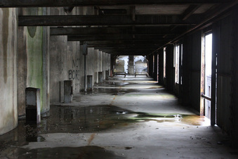 Enlarge photo 46