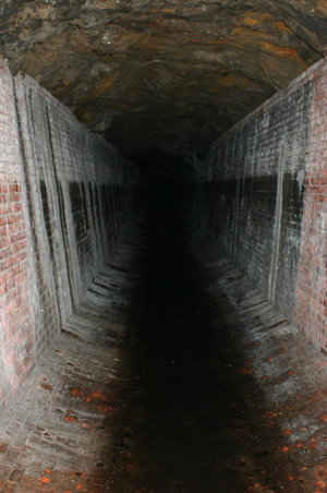 Enlarge photo 15