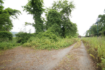 Enlarge photo 8