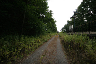 Enlarge photo 12