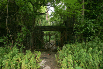 Enlarge photo 14