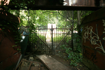 Enlarge photo 15