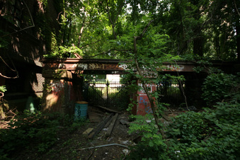 Enlarge photo 16
