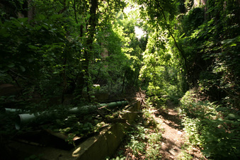 Enlarge photo 18