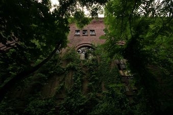 Enlarge photo 21