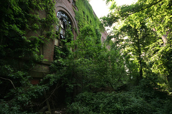 Enlarge photo 22
