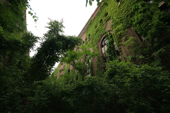Enlarge photo 23