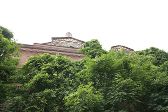 Enlarge photo 24