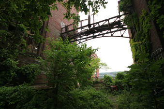 Enlarge photo 25