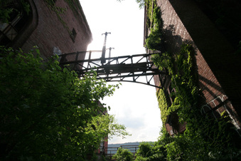 Enlarge photo 26