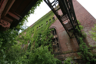 Enlarge photo 27