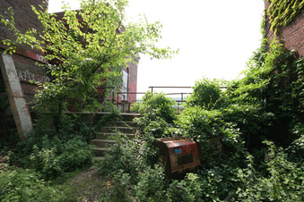 Enlarge photo 28