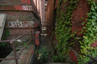 Enlarge photo 33