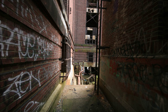 Enlarge photo 35