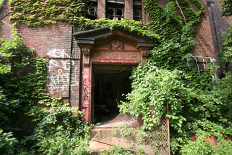 Enlarge photo 45