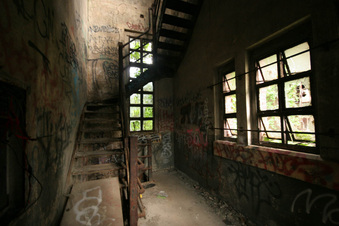 Enlarge photo 47
