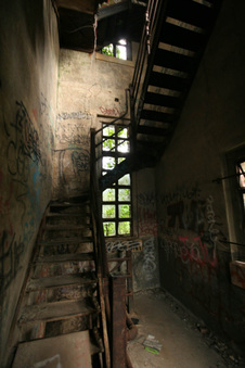 Enlarge photo 49
