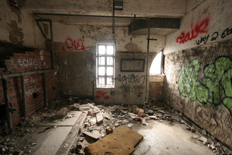Enlarge photo 57