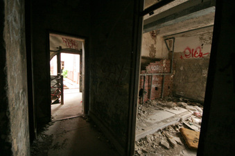 Enlarge photo 60