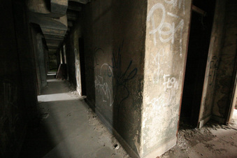Enlarge photo 61