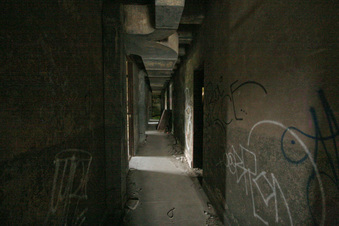Enlarge photo 62
