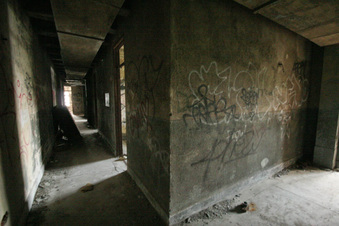 Enlarge photo 63