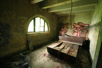 Enlarge photo 64