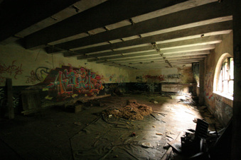 Enlarge photo 67