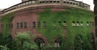 Enlarge photo 83